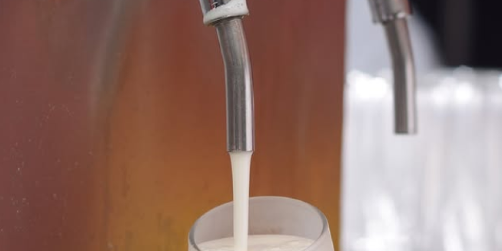 Bola6